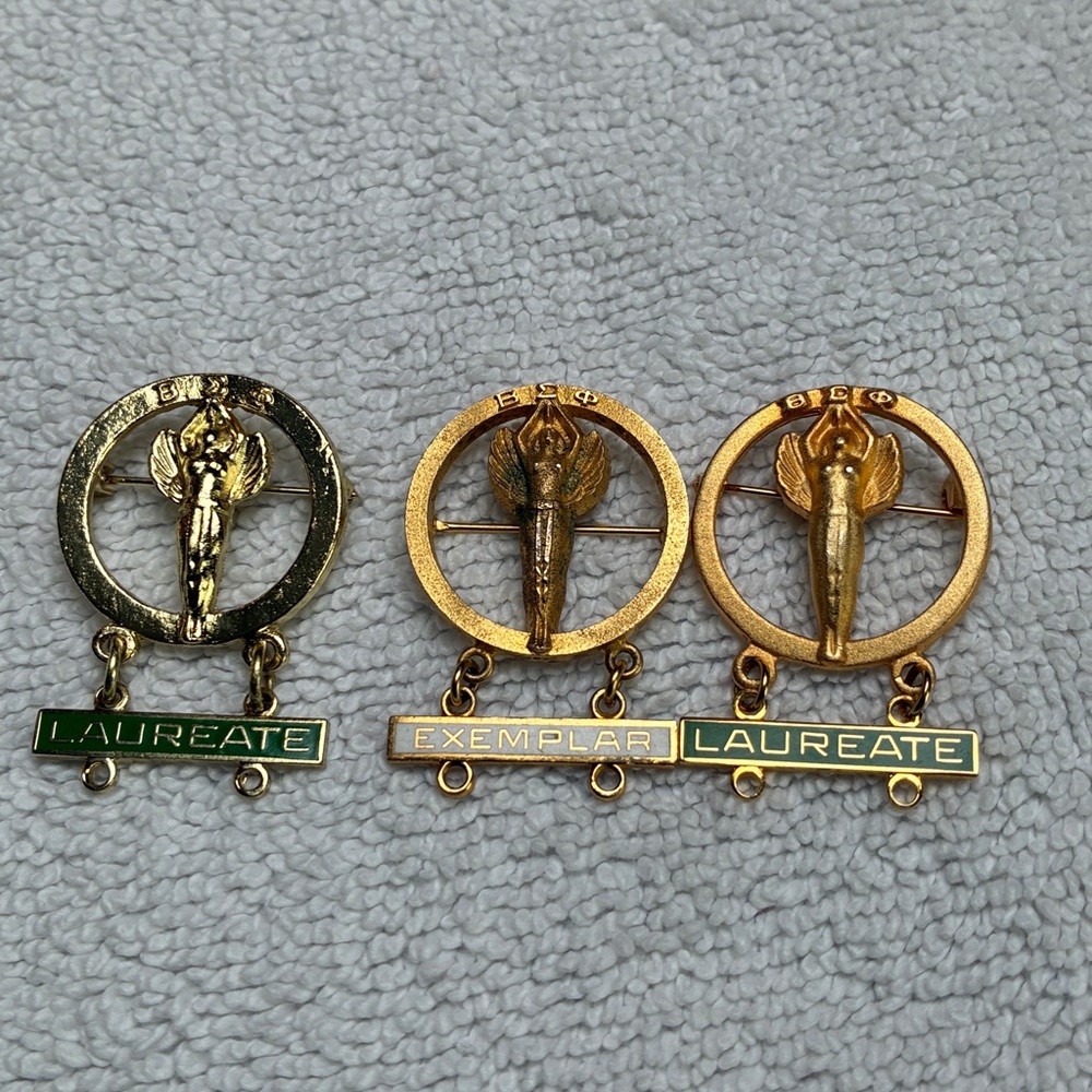 Gold Laureate and Exemplar Pins